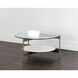 Mikayla 30.25 X 15 inch White / Antique Brass Coffee Table